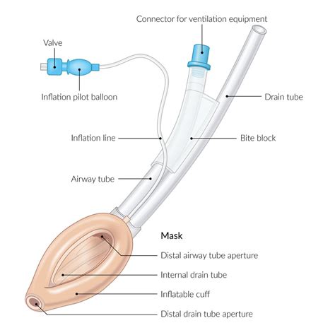 Endotracheal Intubation Equipment