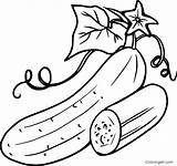 Cucumber Slice Drawing Coloring Getdrawings Sketch Page sketch template