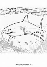 18 Free Printable Shark Coloring Pages For Kids  In The Playroom sketch template
