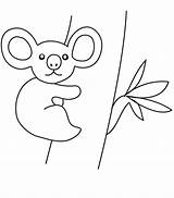koala coloring Pages To Download And Print For Free  sketch template