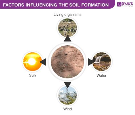 An Overview On Mineral Richness In Soil And Soil Pollution