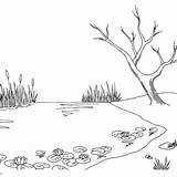 Pond Coloring Pages  Free Printable sketch template