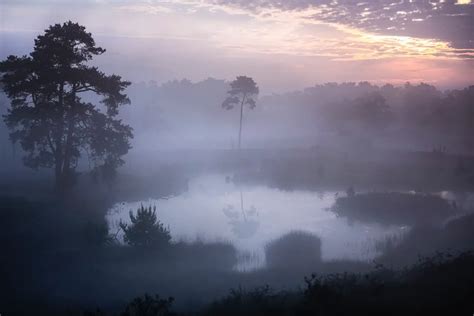 A Complete Guide to Fog Photography: 11 Tips & Ideas - Onedesblog