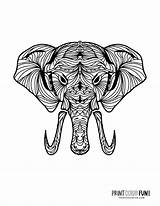8 elephant Adult coloring Pages That Are Decorative & Detailed At  sketch template