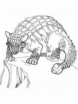 Ankylosaurus coloring Pages  SeaColoring sketch template