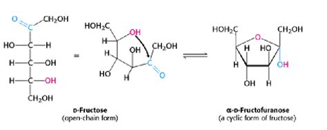 CARBOHYDRATES -Biochemistry - BioChemiThon