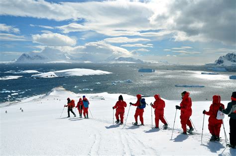 Antarctica & South Georgia Adventure Tours | One Ocean Expeditions