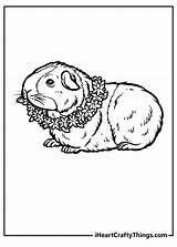 15 Guinea Pig Coloring Pages 100% Free Printables sketch template