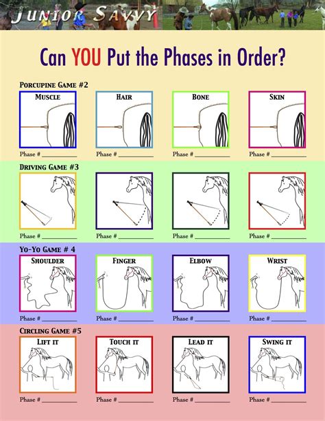 Parelli Junior Savvy - "Can You..."#1 - Can You Put the Phases in Order ...