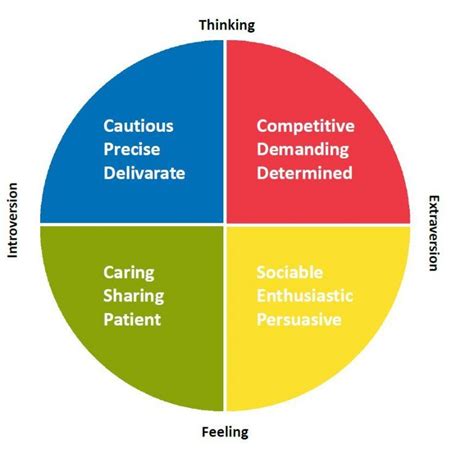 Insights Discovery. Color Personality Test - Coaching Tools. NeuroQuotient | Insights discovery ...