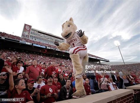 401 Oklahoma Sooner Mascot Stock Photos, High-Res Pictures, and Images ...