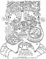 Biology Coloring Page sketch template