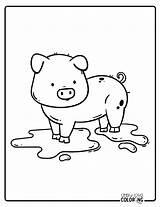 Pig Coloring Pages Free PDF Printables  Simply Love sketch template