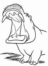Free Printable Hippo Coloring Pages For Kids sketch template