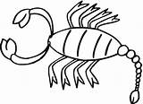 8 Printable Scorpion Coloring Sheet sketch template