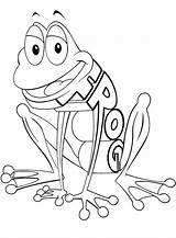 Frog coloring Page  Free Printable Pages Animals sketch template