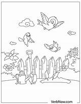 Free BIRD Coloring Pages For Download Printable PDF sketch template
