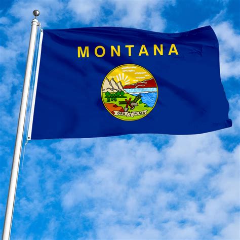 The United States Montana Flag