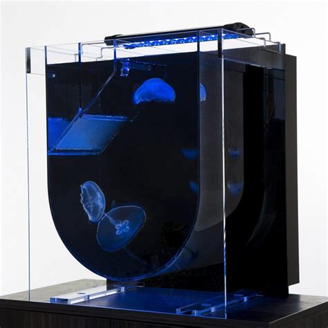 Medusa Desktop Aquarium | UK Jellyfish | Jellyfish aquarium