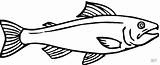 Salmon 12 coloring page  Free Printable Coloring Pages sketch template