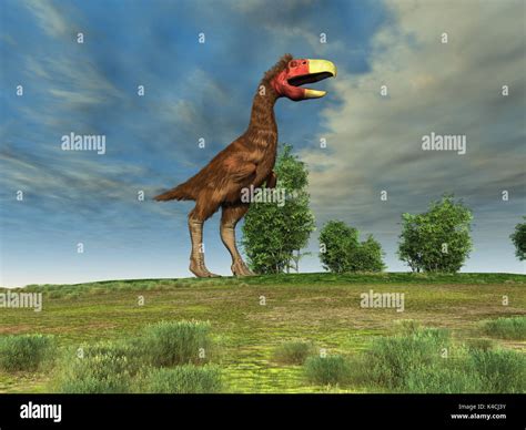 Terror bird Stock Photo: 157629583 - Alamy