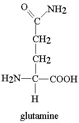 13.6: Nomenclature of Amino acids - Chemistry LibreTexts