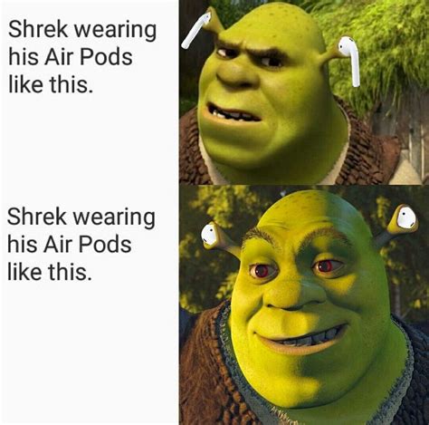 Pin by Qᴜɪɴᴛᴇꜱꜱᴇɴᴄᴇ on ⓣⓗⓔ ⓥⓞⓘⓓ | Shrek memes, Shrek, Stupid funny memes