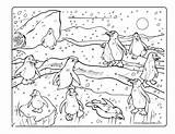 Cute King Penguin Coloring Page  Free Printable Pages sketch template