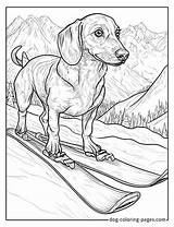 Dachshund Coloring Pages – 46 Free Printable Fun For Wiener Dog Lovers sketch template