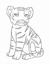 Baby Tiger Coloring Page sketch template