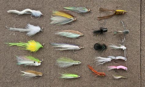 Fly Fishing Bass: Take Advantage of Late-Winter Warming Trends - Fly ...