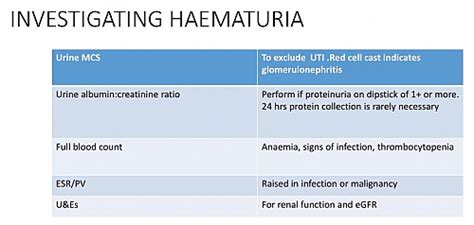 Hematuria in Males and Females: causes, types, diagnosis and treatment ...