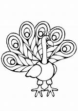 Free & Easy To Print Peacock Coloring Pages  Tulamama sketch template