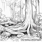Forest Coloring Pages  Free & Printable sketch template