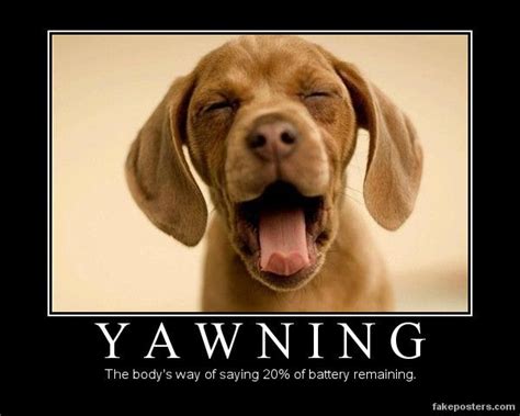 Funny Quotes About Yawning - ShortQuotes.cc