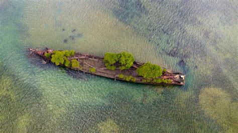 100-Year-Old Shipwreck in Australia Overgrown by Mangroves