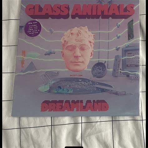 Glass Animals Dreamland LP Has scratches but plays... - Depop