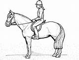 Dressage Coloring Pages At GetDrawings  Free Download sketch template