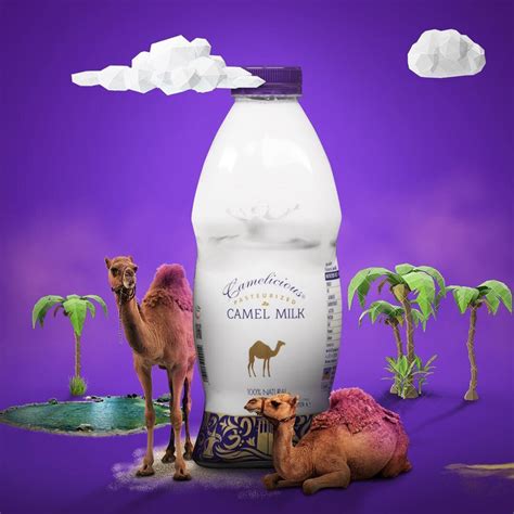 Royal Camel Dairy Trading Company – Camel , Camel Milk . Dubai ,Camelicious