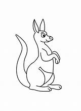 Free Kangaroo Coloring Page  Printable Pages sketch template