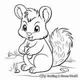 Squirrel Coloring Pages  Free & Printable sketch template