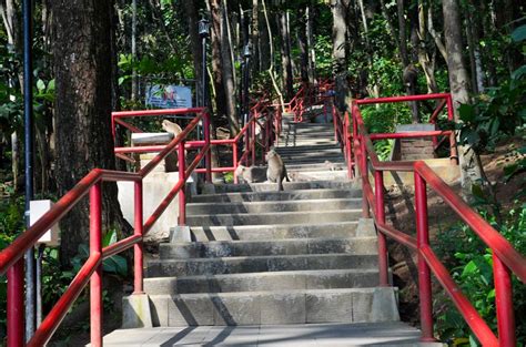 Gunung Tidar Magelang