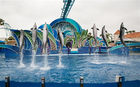 Can SeaWorld survive against Disney, Harry Potter and PETA? - The San ...