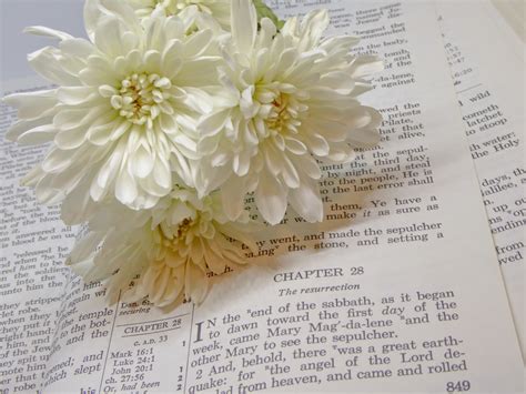 Easter Morning Bible Scripture Free Stock Photo - Public Domain Pictures