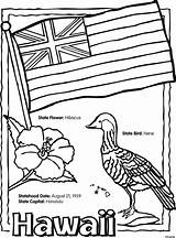 Hawaiian Printable Coloring Pages sketch template