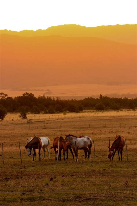 Things to Do in Tulbagh, Western Cape, South Africa