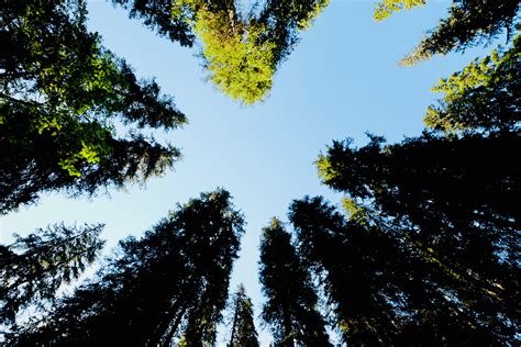 Summer in Dolomites on Behance