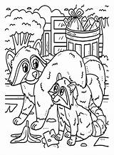 Mother And Baby Raccoon Coloring Page  Free Printable Pages sketch template