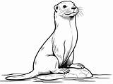 River Otter Coloring Adventure  Page sketch template