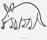 Aardvark Coloring Page  Dibujar Un Cerdo Hormiguero Clipart 5426393 sketch template